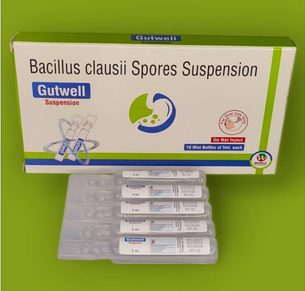 GUTWELL SUSPENSION