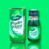 DABUR PUDIN HARA 30ML - Image 2